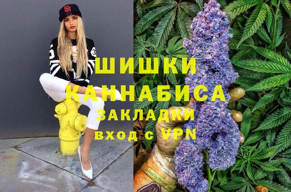 гидра Алзамай
