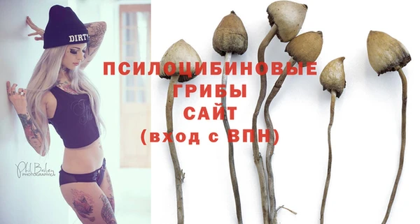 гидра Алзамай