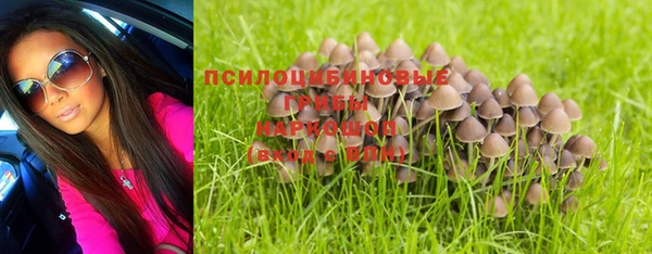 тгк Новозыбков